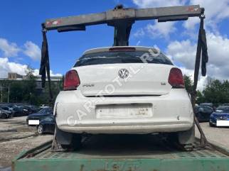 16635491
